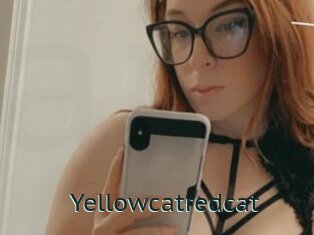 Yellowcatredcat