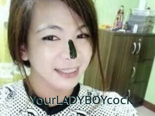 YourLADYBOYcock