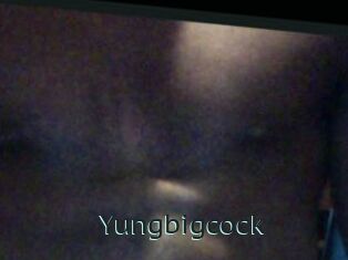 Yungbigcock